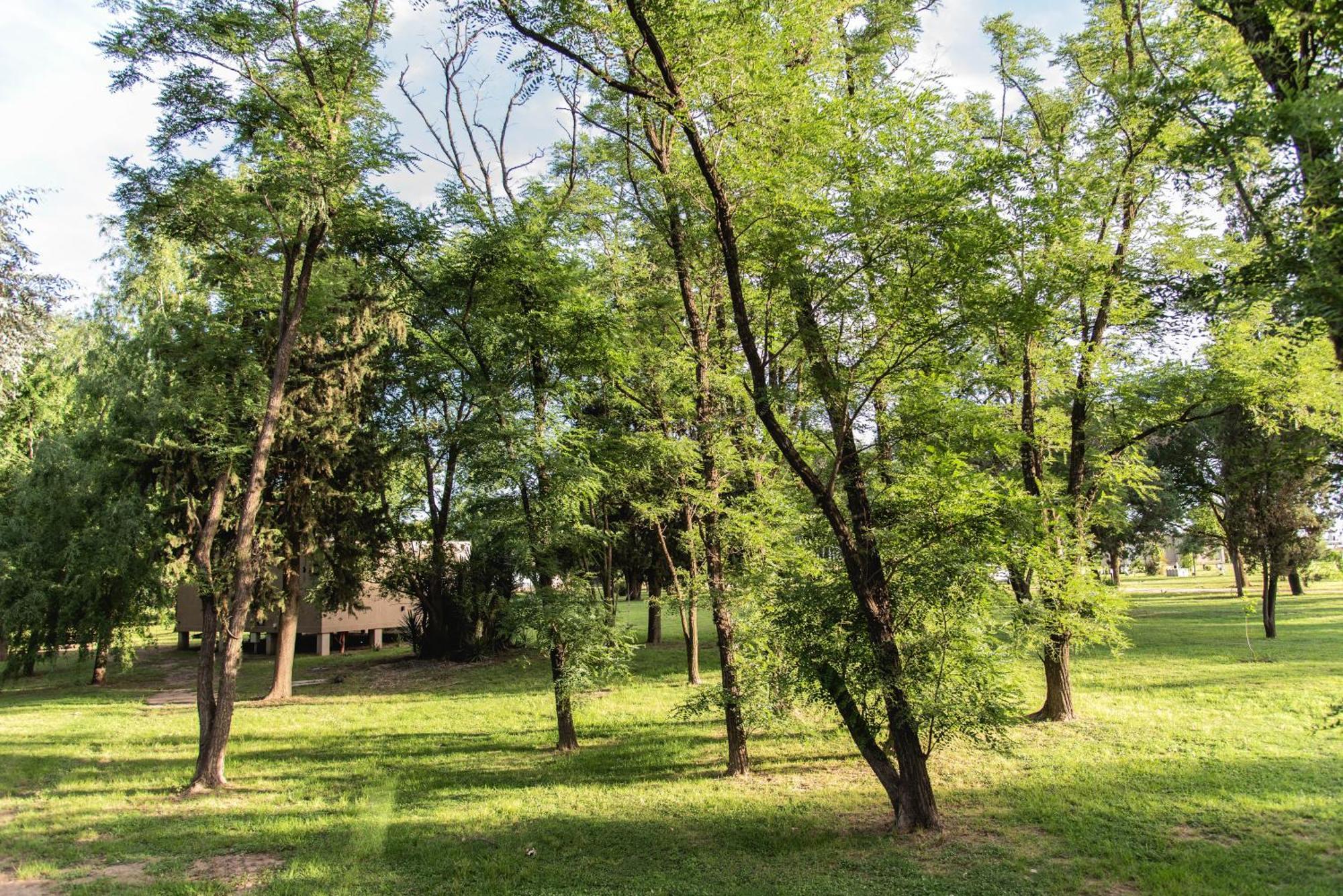 La Quinta, Cabanas De Campo Villa Nueva  Екстер'єр фото